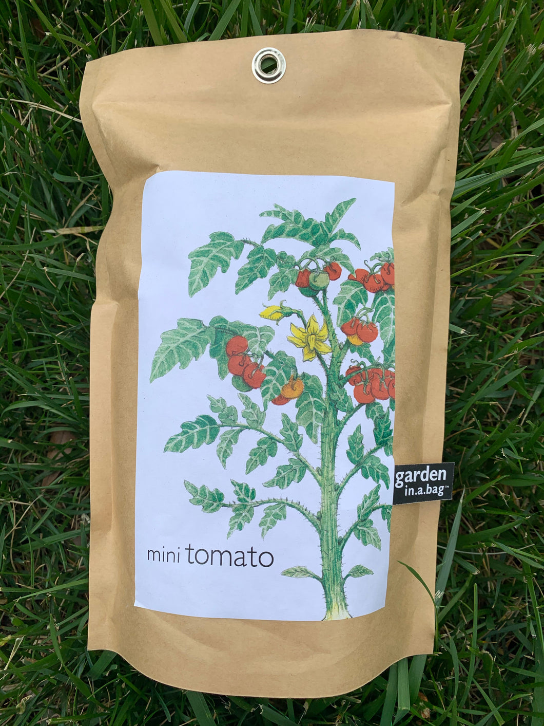 Mini Tomato Garden in a Bag